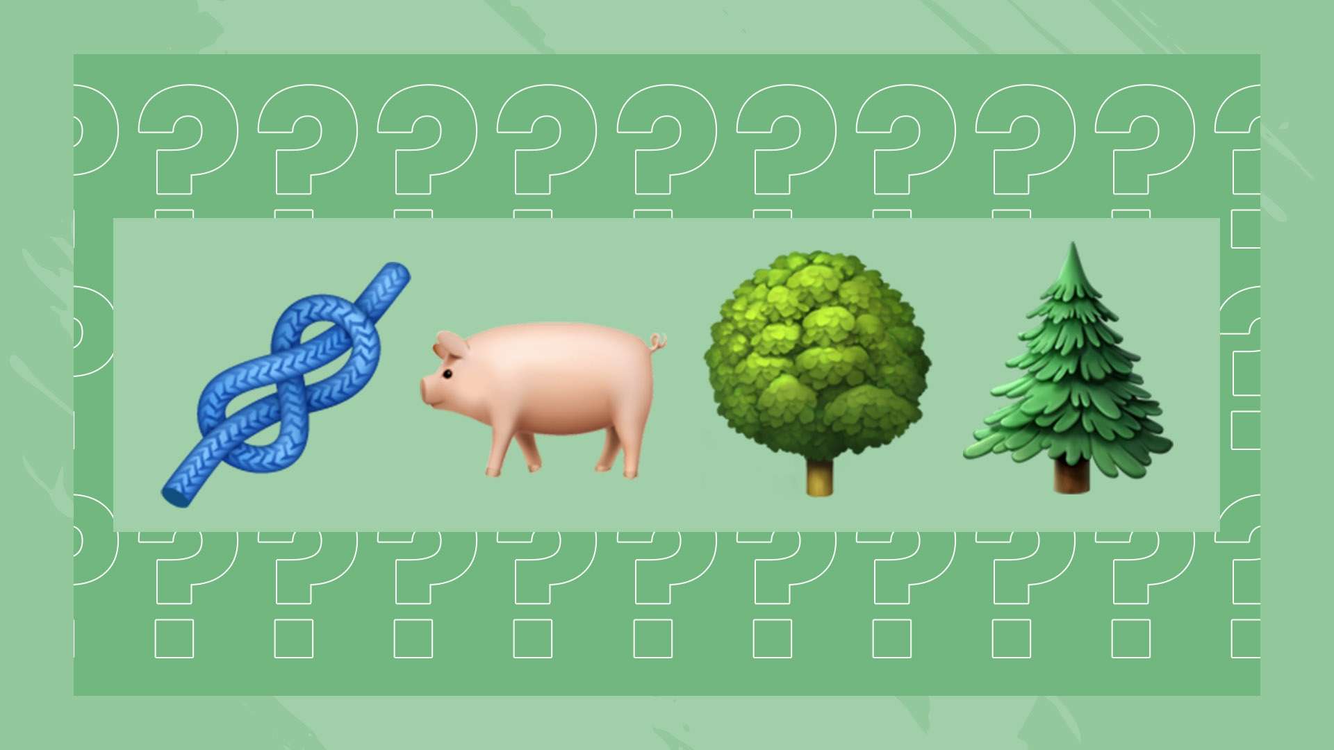 康寧漢姆：老將閱歷豐厚 關鍵時刻助團隊沈著應對.